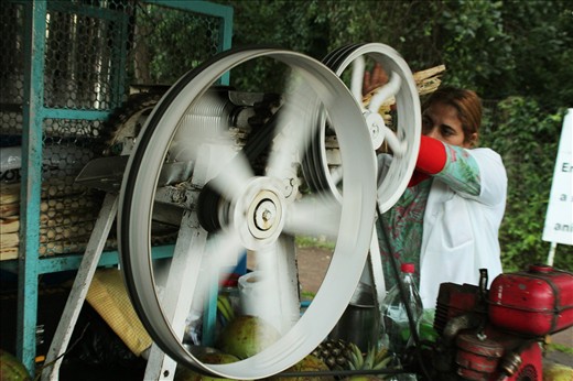The lady is making sugar cane juice in her machine.