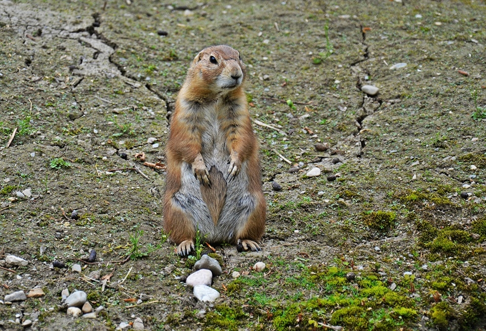 Falling under the spell.