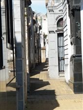 by latinpics, Views[148]