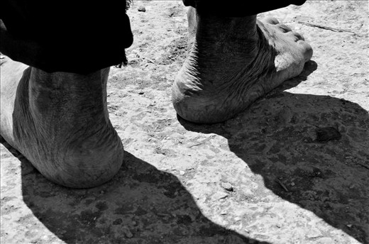 Que la marca de tus años no sean las de tus daños