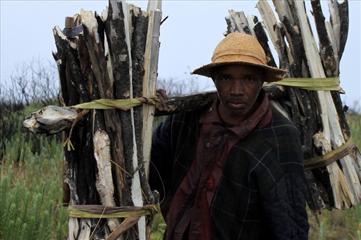 This man is collecting wood to take back to his village. He not only depends on his rice fields for daily food, but also the trees for fire and warmth. When we talked to him about the infestation, he worried about the livelihood of the people of Madagascar. They depend on the land in many ways and can't afford to lose it. 