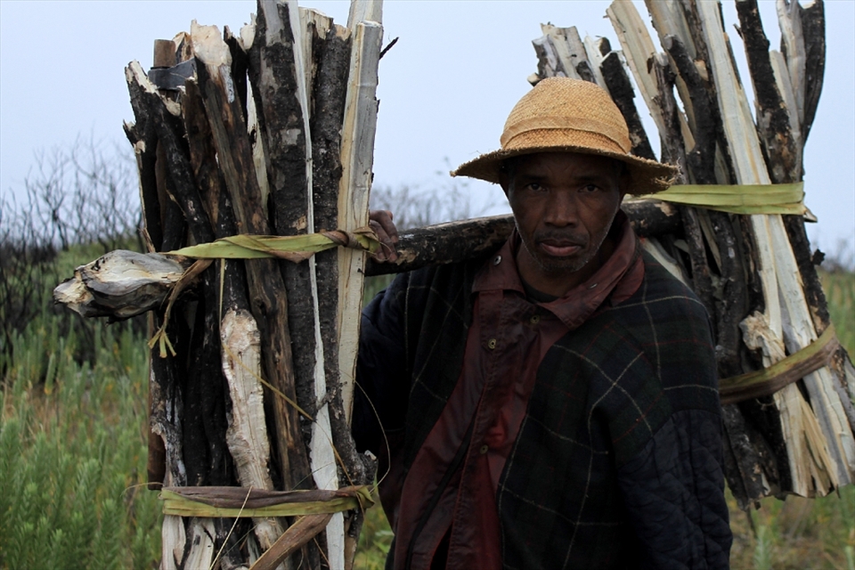 This man is collecting wood to take back to his village. He not only depends on his rice fields for daily food, but also the trees for fire and warmth. When we talked to him about the infestation, he worried about the livelihood of the people of Madagascar. They depend on the land in many ways and can't afford to lose it. 