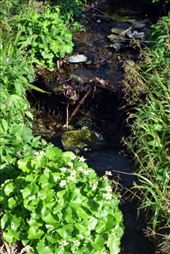 by laurablair, Views[178]