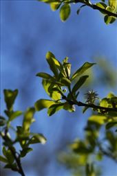 by laurablair, Views[179]