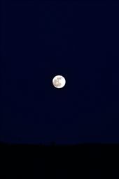 by laurablair, Views[163]