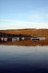 by laurablair, Views[186]