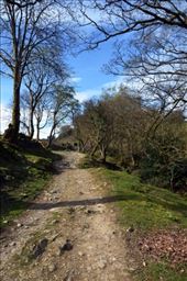 by laurablair, Views[194]