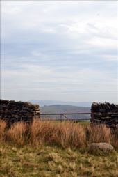 by laurablair, Views[151]