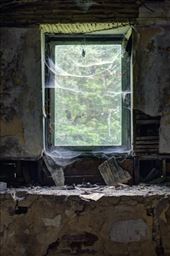 by laurablair, Views[164]