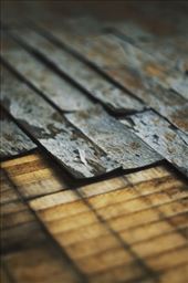 by laurablair, Views[149]