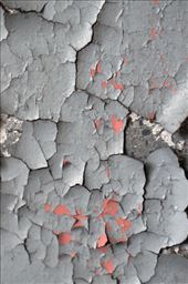 by laurablair, Views[183]