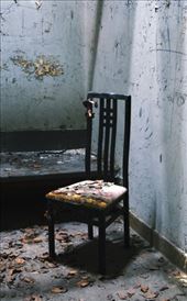 by laurablair, Views[133]