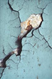 by laurablair, Views[170]