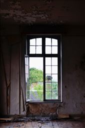 by laurablair, Views[163]