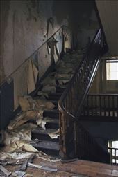 by laurablair, Views[165]