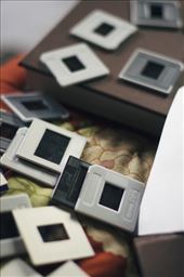 by laurablair, Views[156]