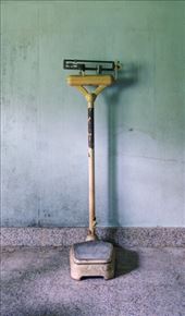 by laurablair, Views[153]