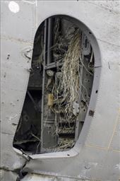 by laurablair, Views[139]