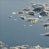 by laurablair, Views[236]