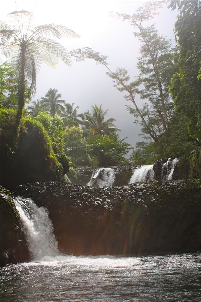 In the rainforest, water is everywhere.