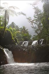 In the rainforest, water is everywhere.: by lauraborrowdale, Views[189]