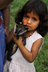 A young Amazonian girl caresses her claw-bearing pet, a baby coati. It is not uncommon to see children along Peru's Rio Napo with pet monkeys, tiger cats, and parrots.: by lauramco, Views[2599]