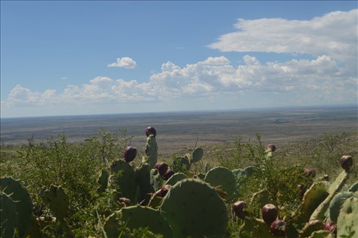 Camping near Carlsbad, New Mexico. 