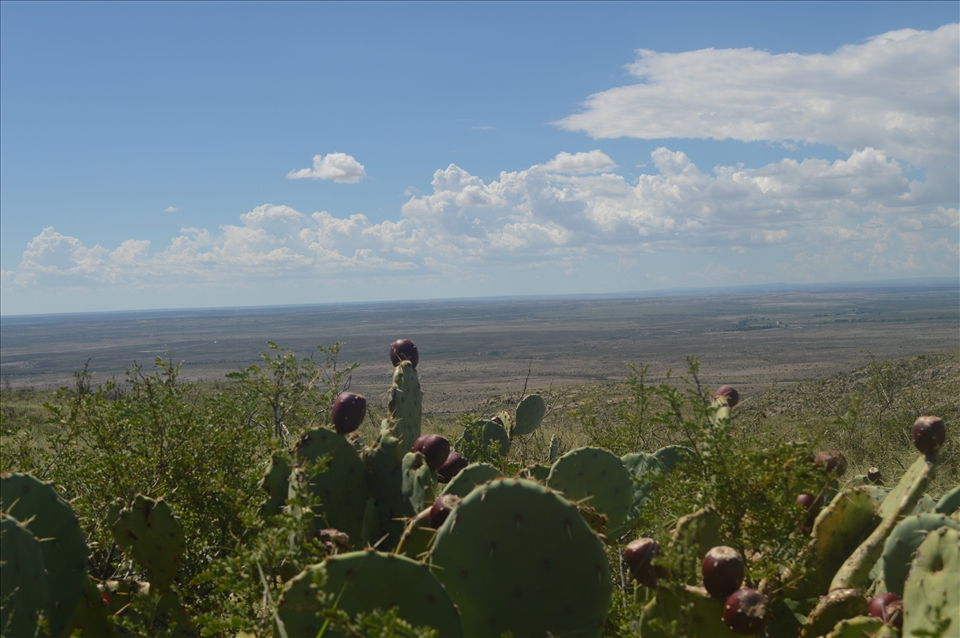 Camping near Carlsbad, New Mexico. 