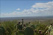 Camping near Carlsbad, New Mexico. : by lauramills, Views[246]
