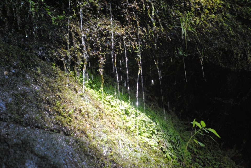 Water is essential to the creation and well-being of life. Sneaking under an over hanging cliff in the Kaatskill Mountains of New York I attempted to capture the beauty and simplicity of the dance of water droplets hitting the green moss and continuing their journey down the mountain in the late afternoon sun.