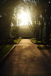 The sun sets over the Green Mountains in Vermont, casting the college campus in golden shadow. Just like the future of the students who study there, the path is unclear but bright.: by laurenainsworth, Views[564]