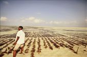 Seaweed Farm: by laurenrattray, Views[241]