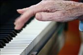 But most importantly, a woman who turns up every Tuesday for one hour to conduct and play piano for the University of the Third Age choir.: by laurenrubybenedet, Views[323]