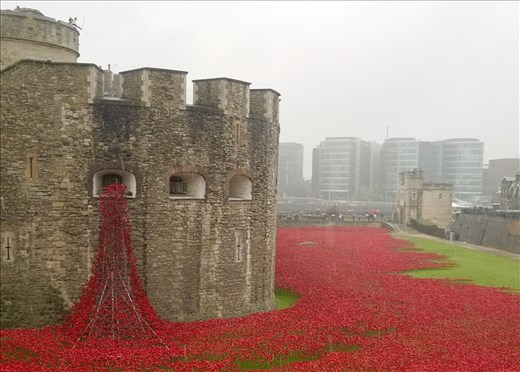 Tower of London: 100 Year Memorial for WWI