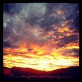 by laurenvickery91, Views[297]