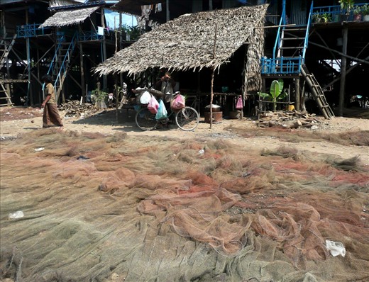 The economy of Kampong Phluk depends on fishing. During the dry season, the village is carpeted in mats of drying shrimp. 