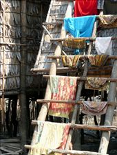 Everyday chores like washing and drying in the Cambodian Villages of Kampong Phluk are a much easier task during the dry season. : by laurianryan, Views[391]