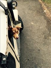 by lawson, Views[132]