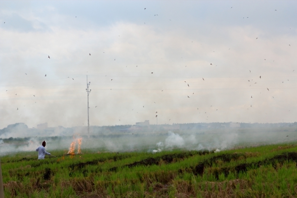 A farmer burning the remaining straws to fertilise their fields. 
For the sustainabilities of ones income at the price of others.
Located in Sekinchan,  one of the major rice producing areas of Malaysia.