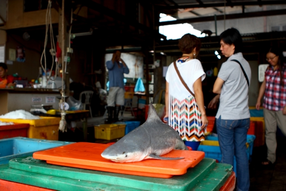 A baby shark on display after it was weighed and sold.
Local shark delicacies symbolised the generosity of the host, one of the main factor that contributes to the extintion of the species.
Located in a small port for fisherman in Sekinchan.