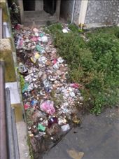 village life!: by lazer, Views[294]