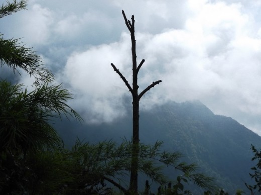 its cloudy up in those mountains!
