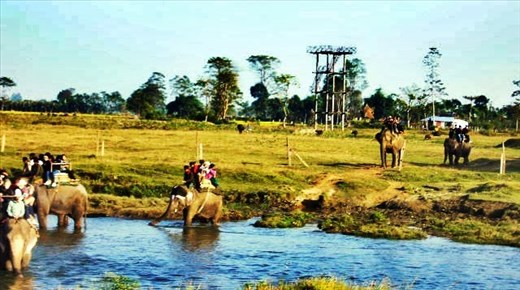 Jungle safari, chitwan