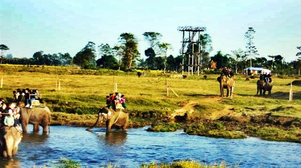 Jungle safari, chitwan