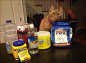 Ingredients. Don't eat the cat.: by leaheatstheworld, Views[190]