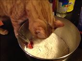 mix your dry ingredients. you might need a helper: by leaheatstheworld, Views[267]