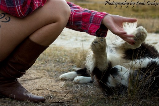 Mans best friend. Pejar Dam, NSW
