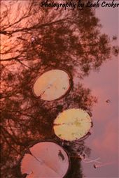 Take life one step at a time.  Pejar Dam, NSW: by leahmaree23, Views[314]