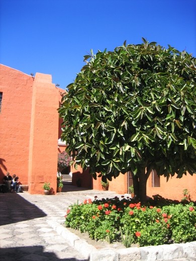 The colourful, pristine and peaceful Santa Catalina Monastery in Arequipa, still home to small number of nuns.