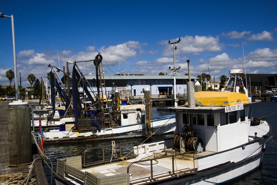 Set in the beautiful Newcastle region of NSW, is the marina and fish markets. Trawlers re-enter the harbour and are docked at the fish market location, ensuring a steady stream of fresh produce. There is much competition, with both large and small vessels vying for a piece of the action. Rarely is the dock empty.